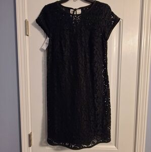 LOFT Lace Dress